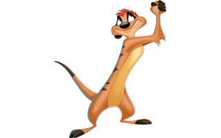 Timon PNG