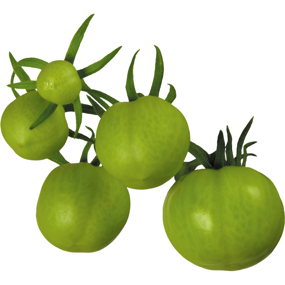 Tomatillo  Transparent Image