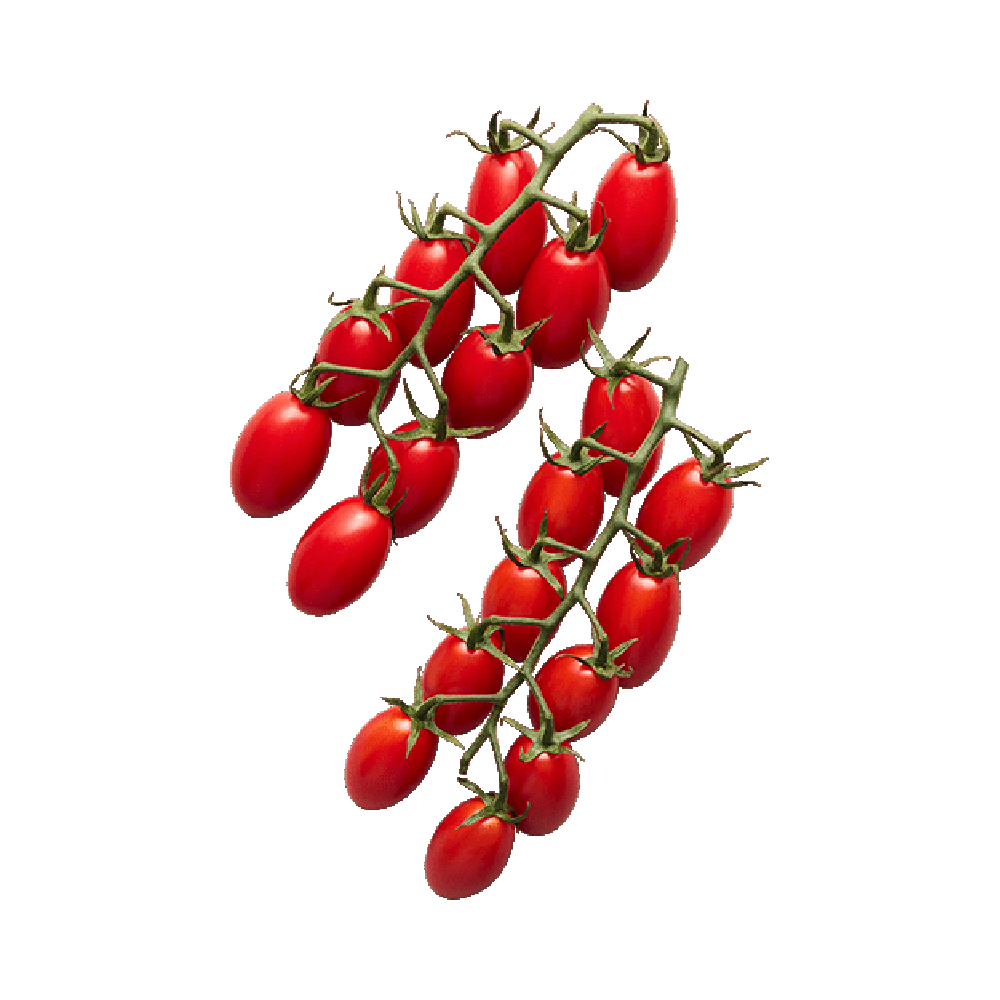 Tomato Berry  Transparent Clipart