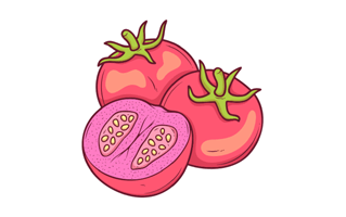 Tomatoes Sticker PNG