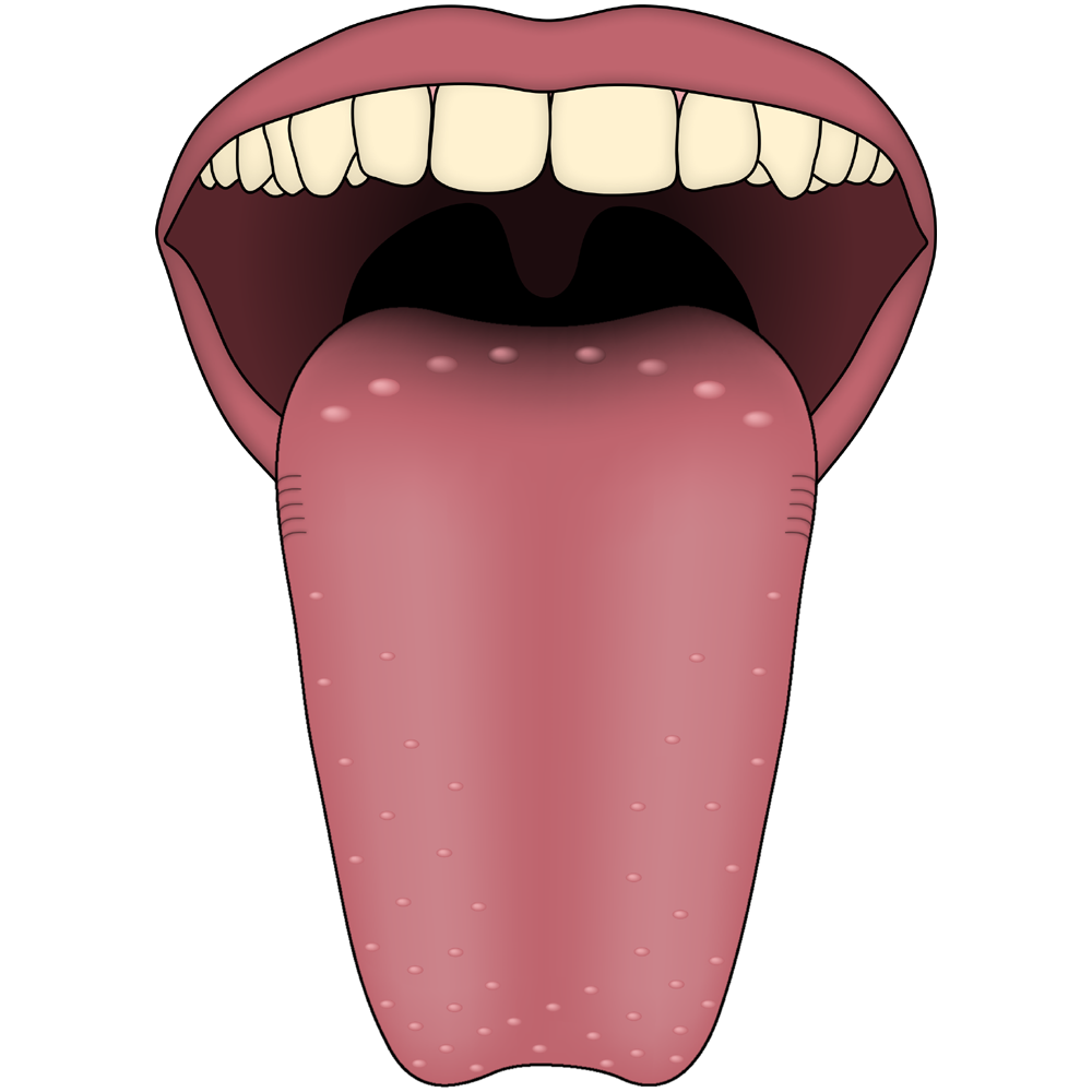 Tongue  Transparent Photo
