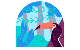 Toucan Free Sticker PNG