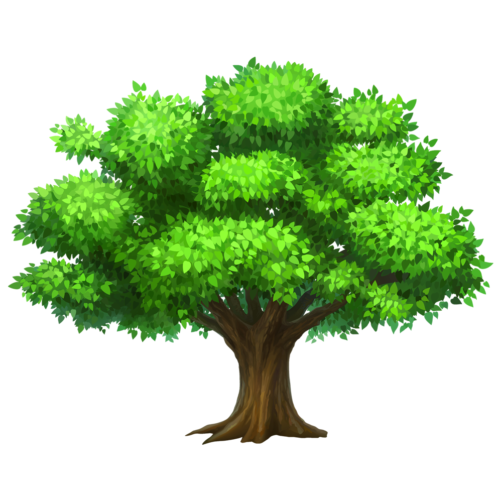 Tree Clipart  Transparent Gallery