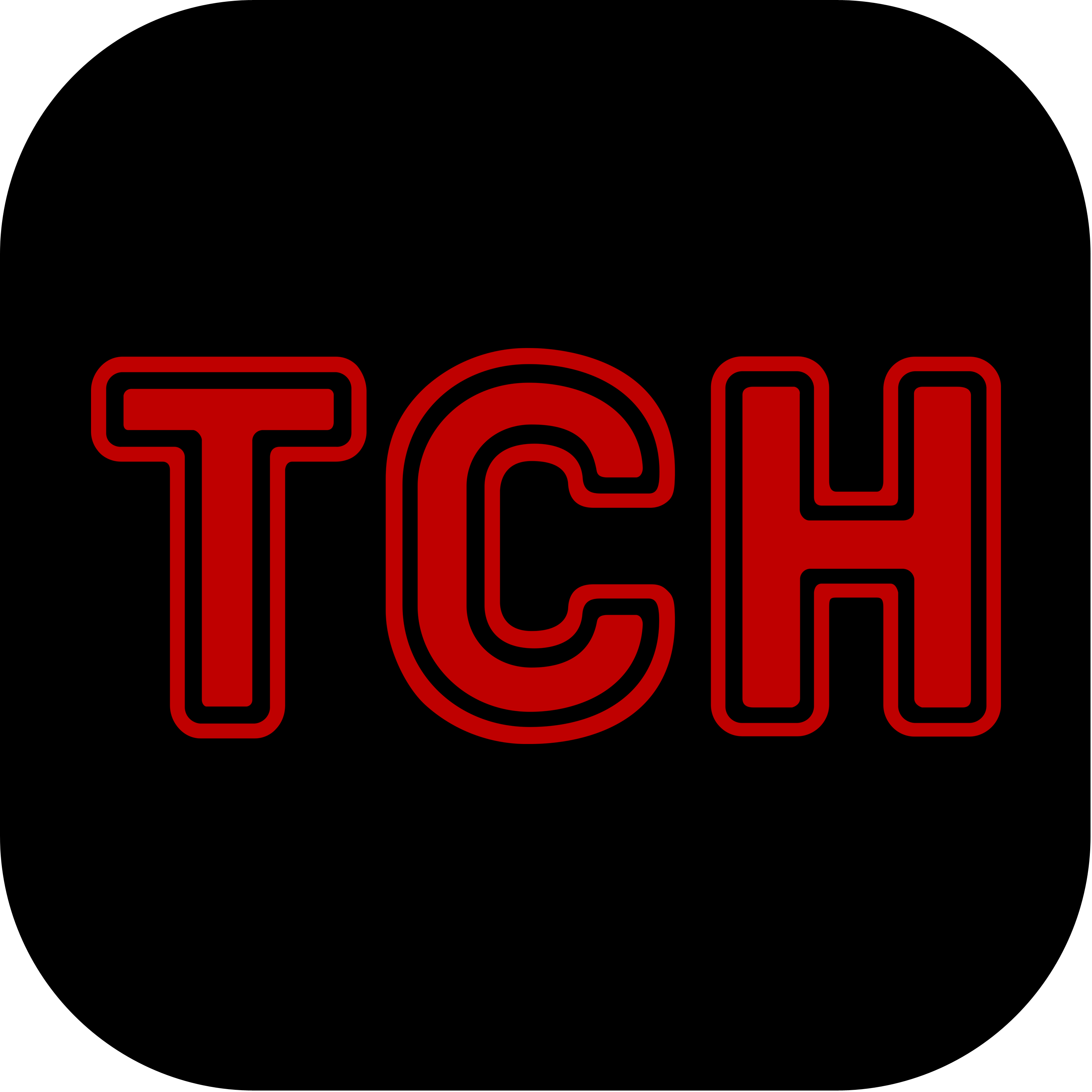 TSN Logo 2008 Transparent Photo