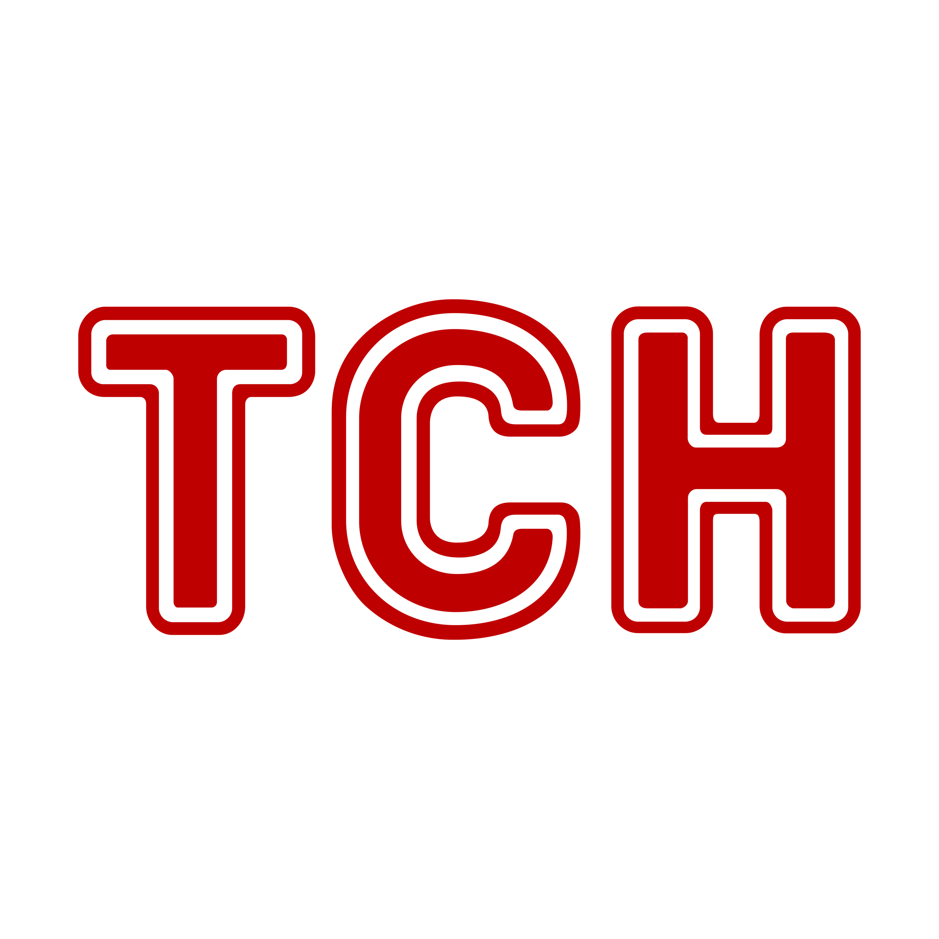 TSN Logo 2008 Transparent Picture