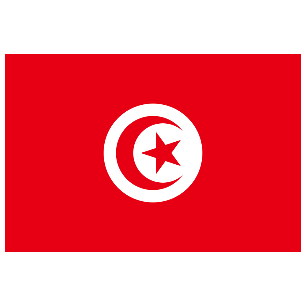 Tunisia Flag Transparent Picture