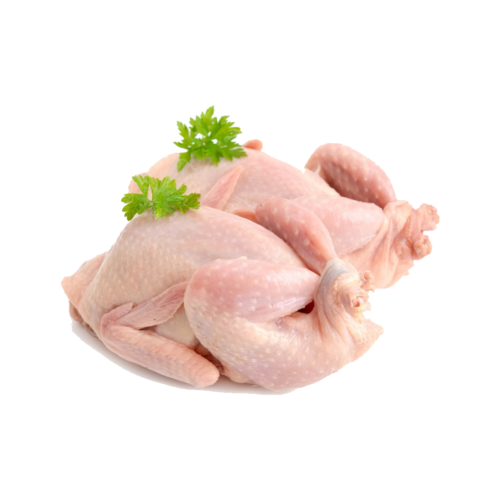 Turkey Meat  Transparent Clipart