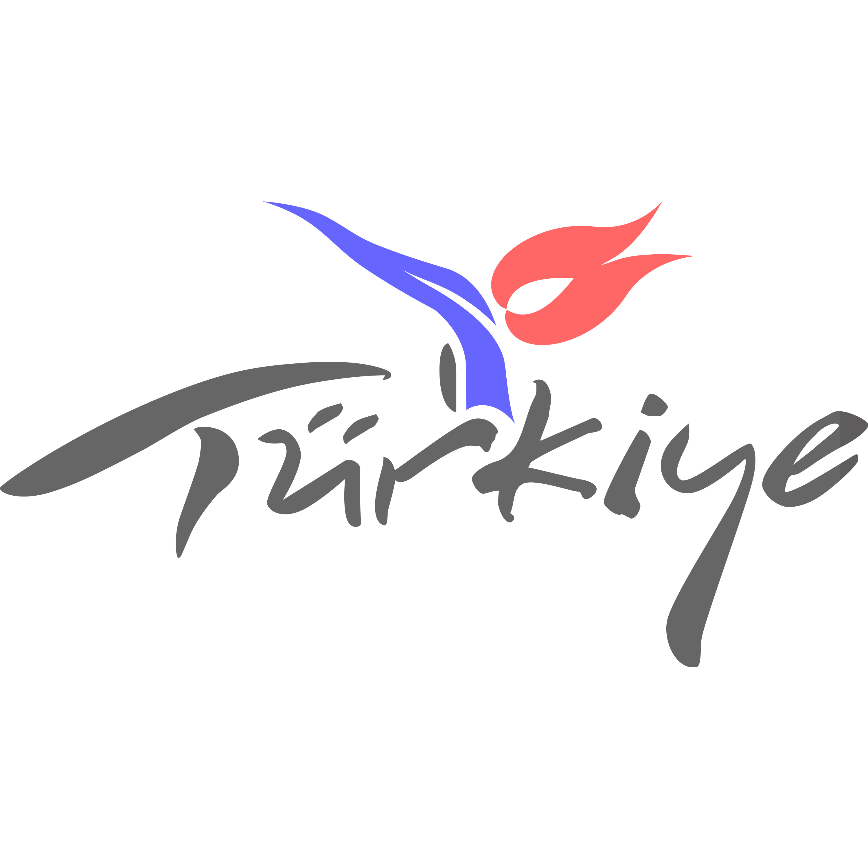 Türkiye Logo Transparent Photo