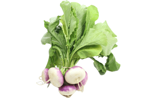 Turnips PNG