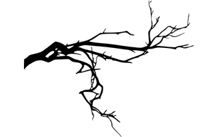 Twig PNG