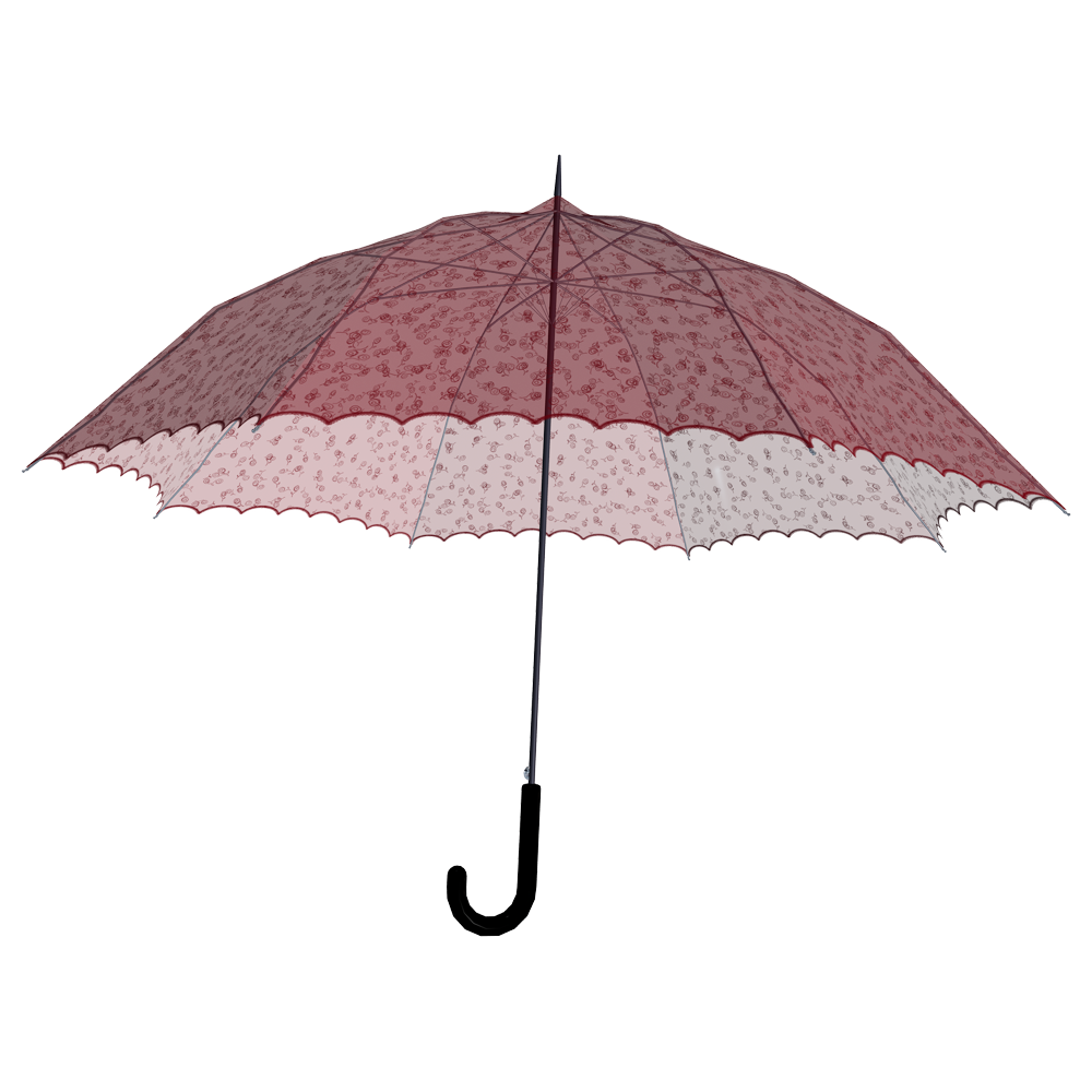 Umbrella  Transparent Picture