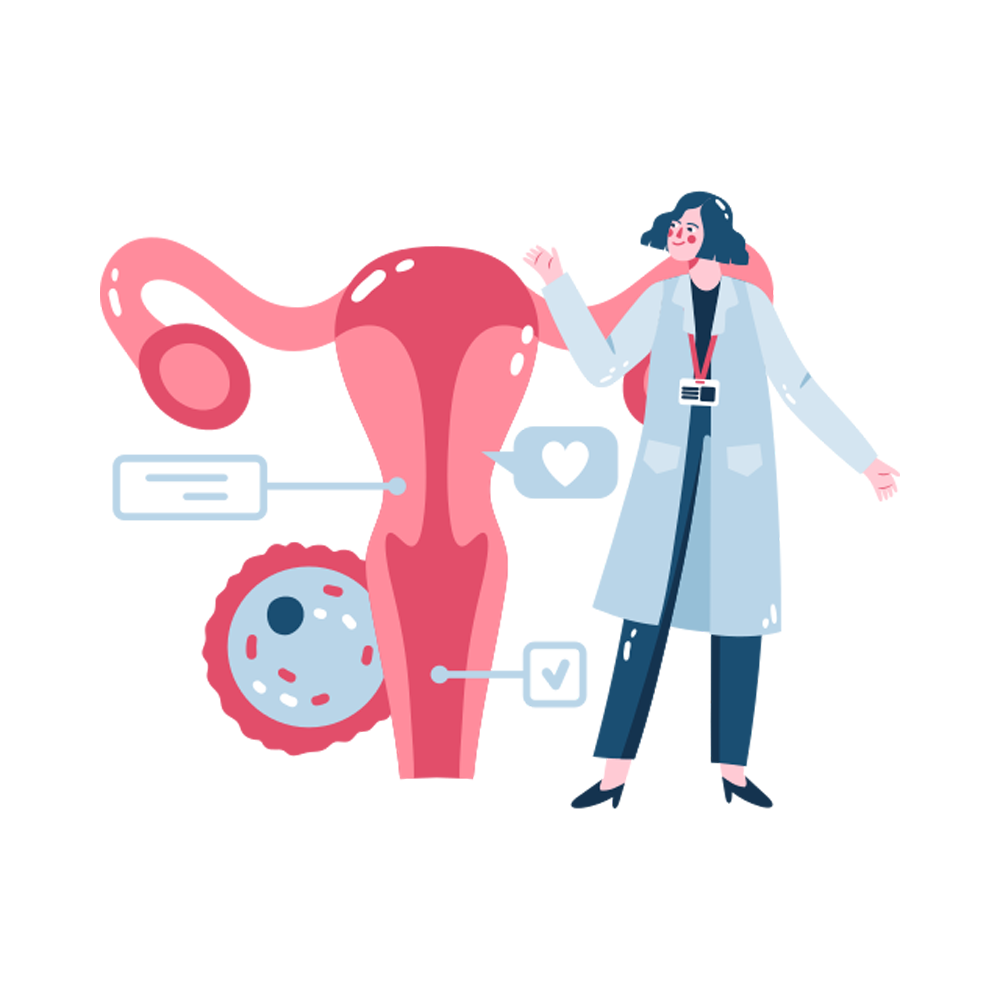 Uterus Free Sticker Transparent Image