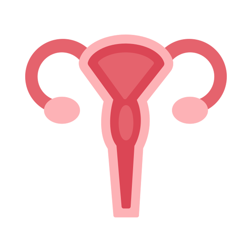 Uterus Free Sticker Transparent Gallery