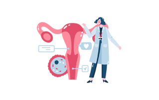 Uterus Free Sticker PNG