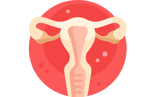 Uterus Sticker PNG