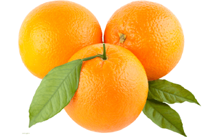 Valencia Orange PNG