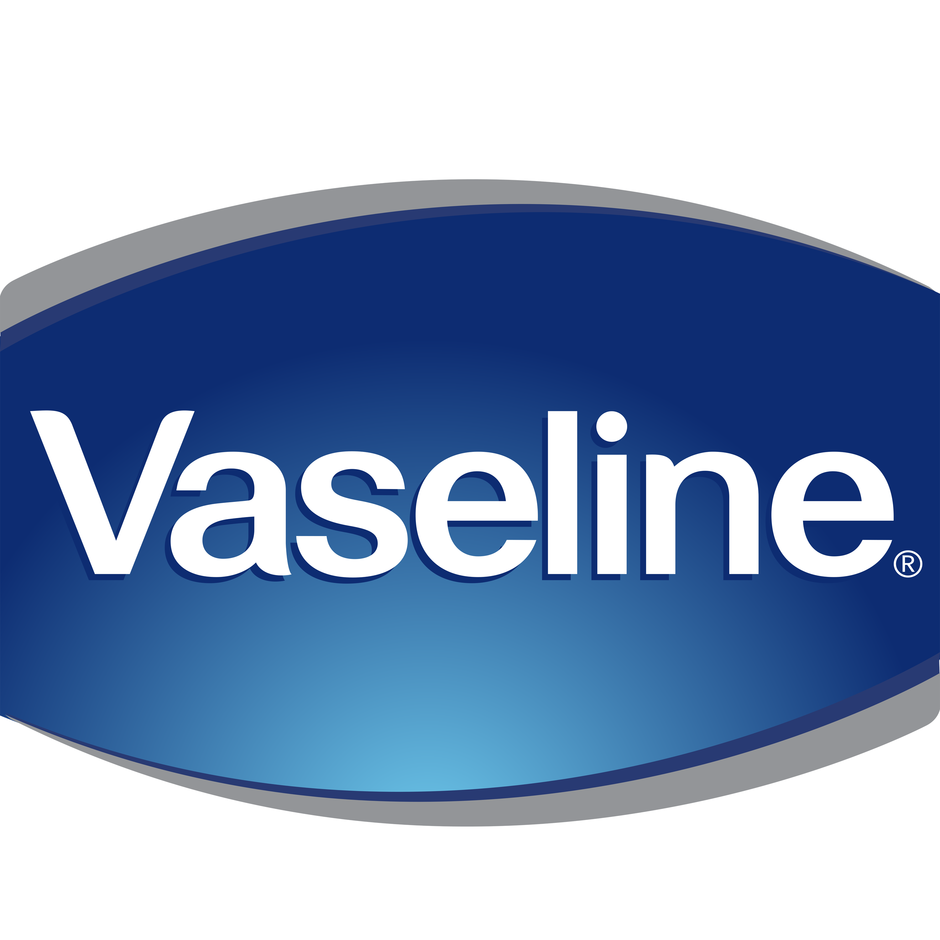 Vaseline Logo Transparent Image