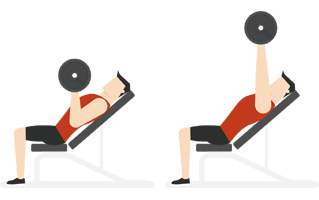 Vector Exercise PNG