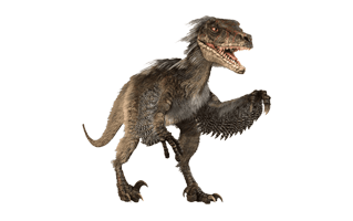 Velociraptor PNG