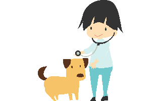 Veterinarian PNG