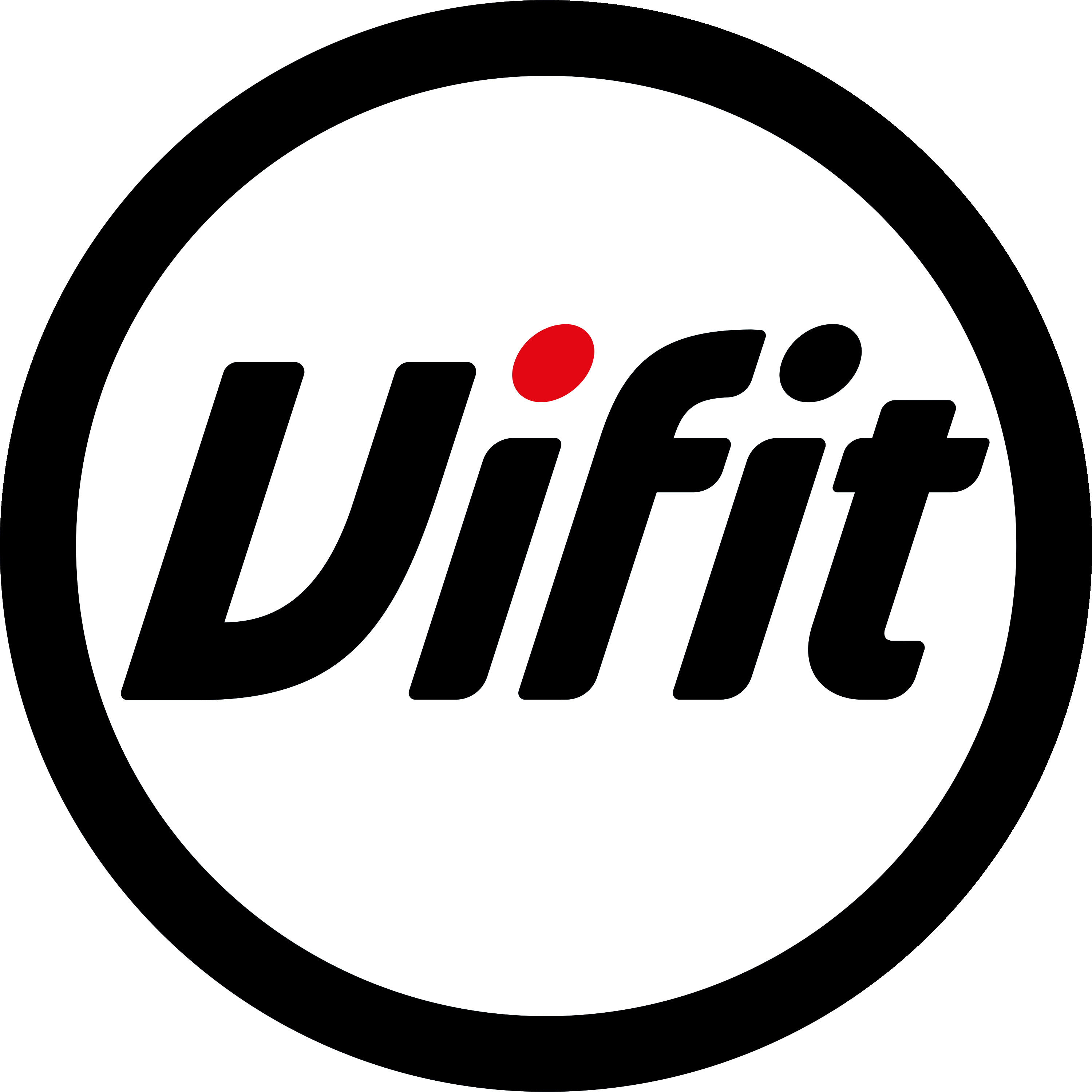 Vifit Logo  Transparent Photo