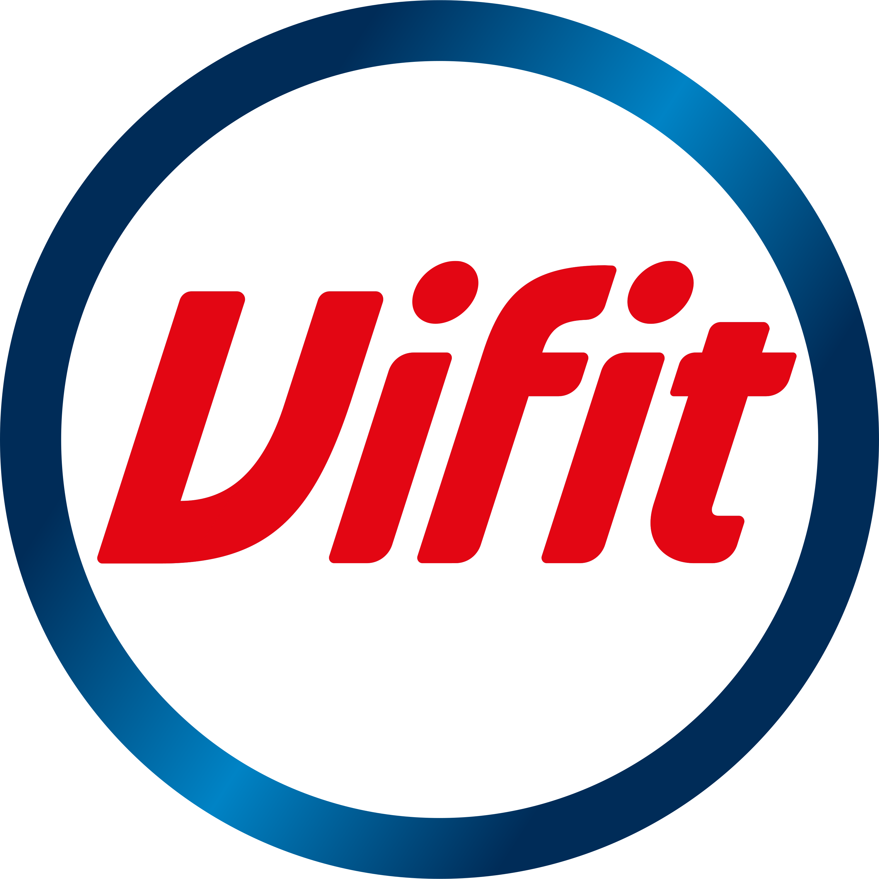 Vifit Logo  Transparent Gallery