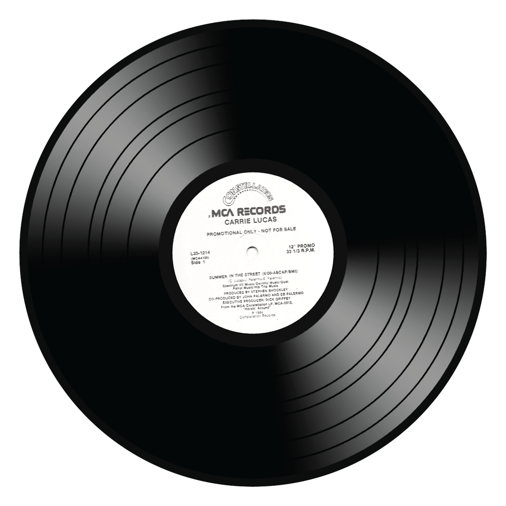 Vinyl Record  Transparent Picture