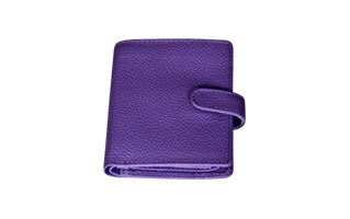 Violet Wallet PNG