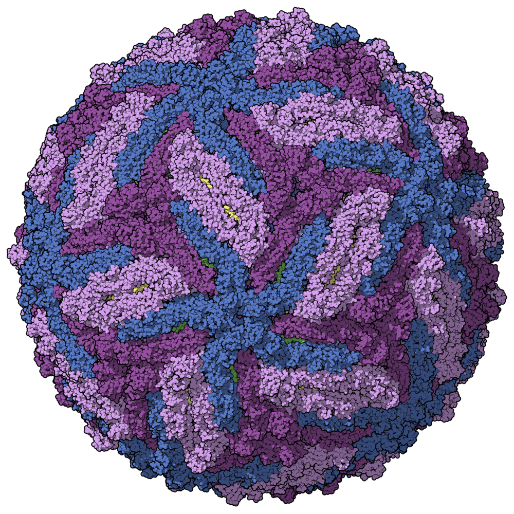 Virus Transparent Image