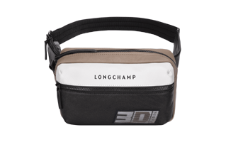 Waist Bag PNG