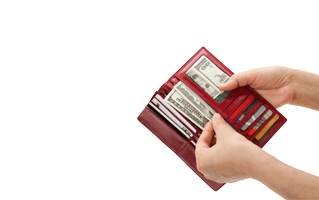 Wallet In Hand PNG