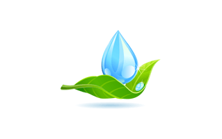 Water Drop Leaf PNG