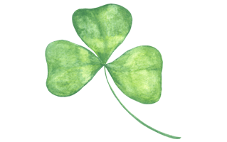 Watercolor Clover PNG