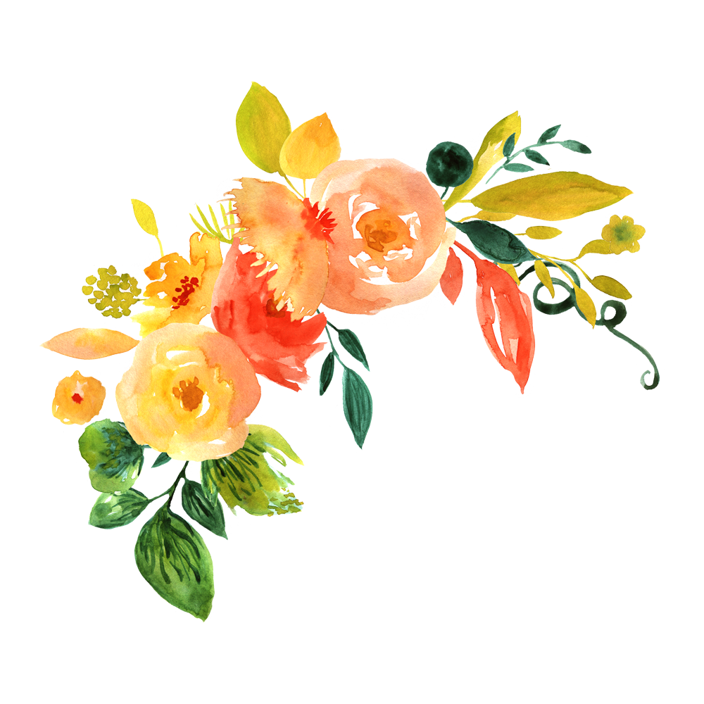 Watercolour Flower Transparent Picture