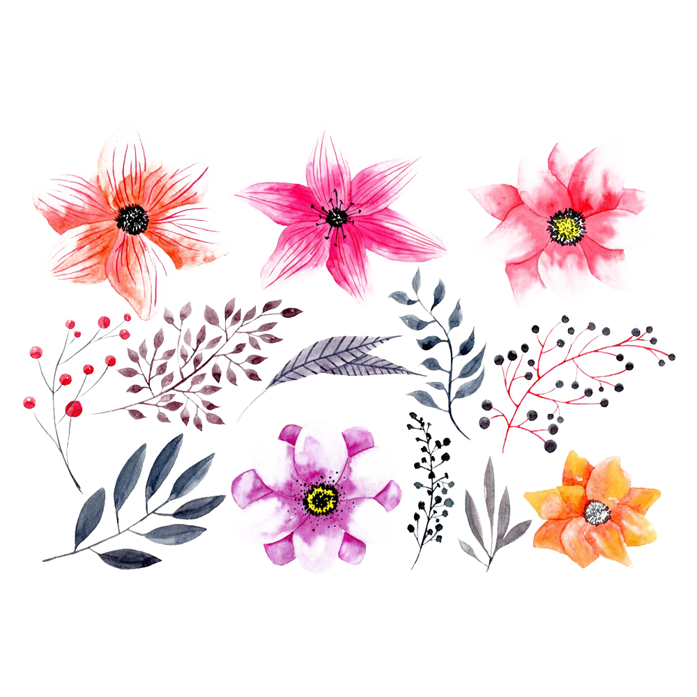 Watercolour Flower Transparent Clipart