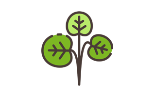 Watercress Sticker PNG