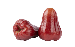 Wax Apple PNG