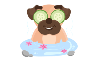 Wellness Sticker PNG