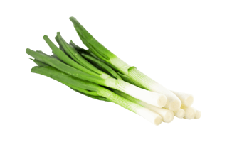 Welsh Onion PNG