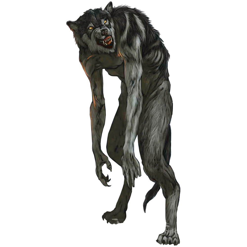 Werewolf  Transparent Photo
