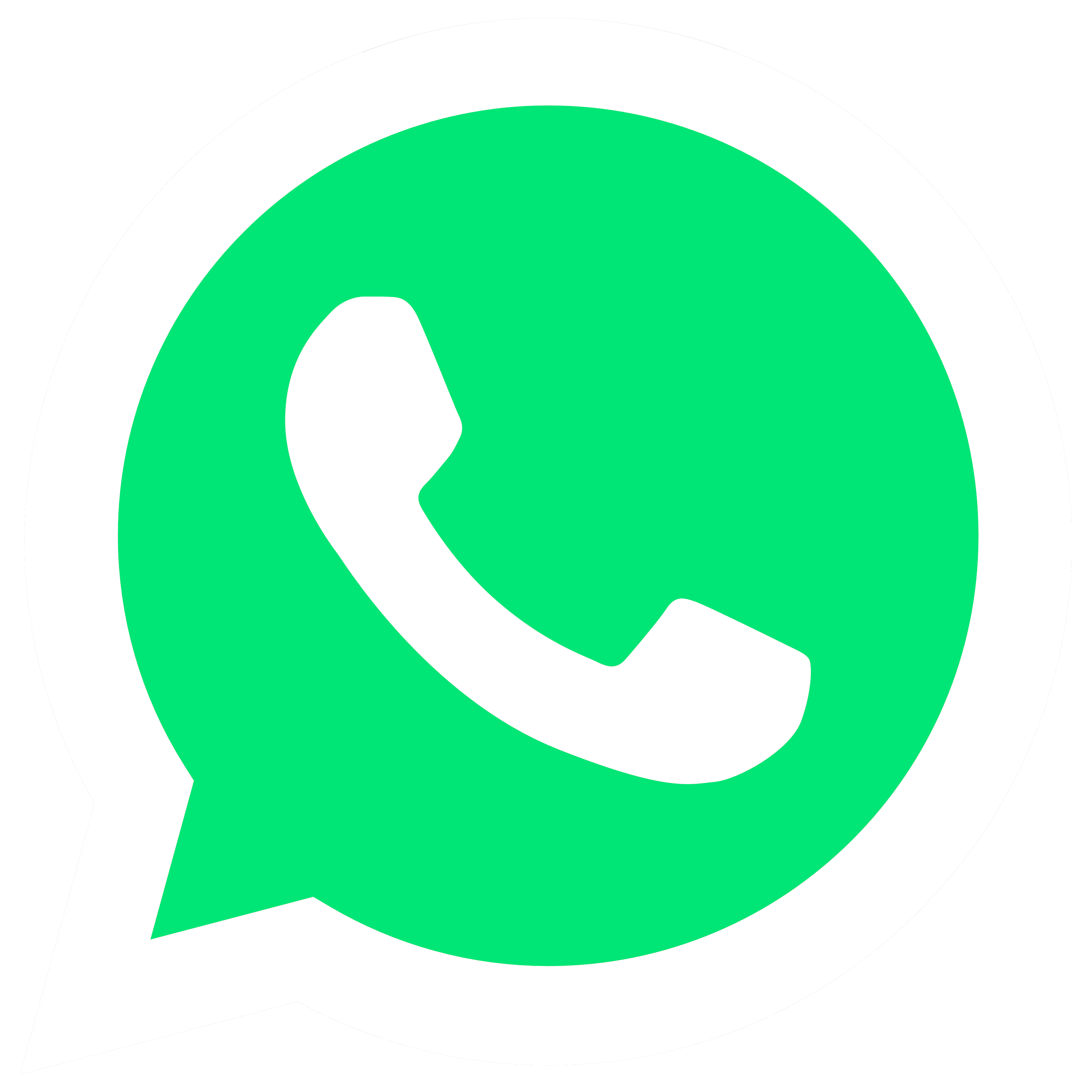Whatsapp Logo Transparent Clipart