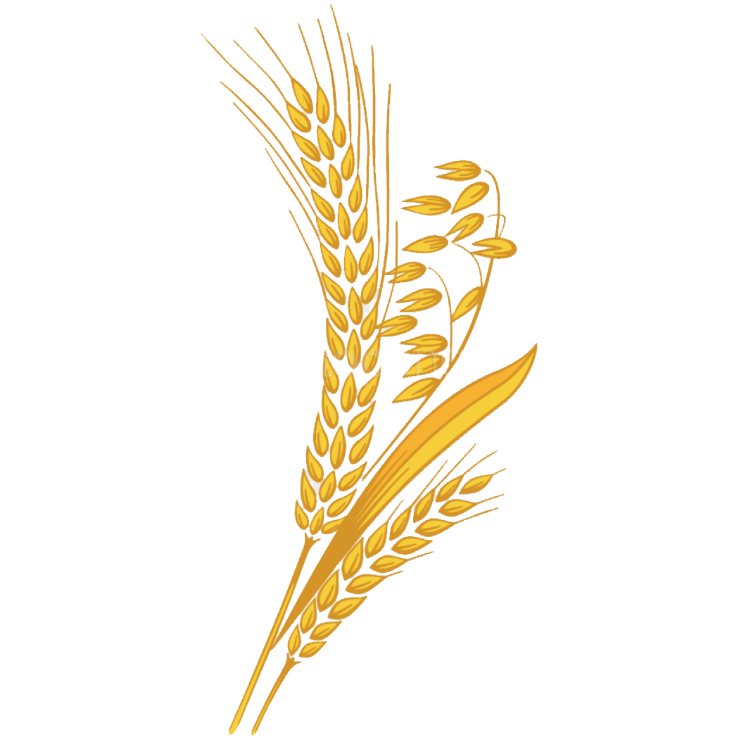 Wheat Transparent Clipart