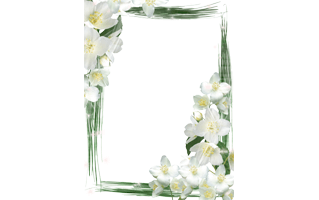 White Flower Frame PNG