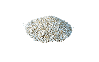 White Poppy Seeds PNG