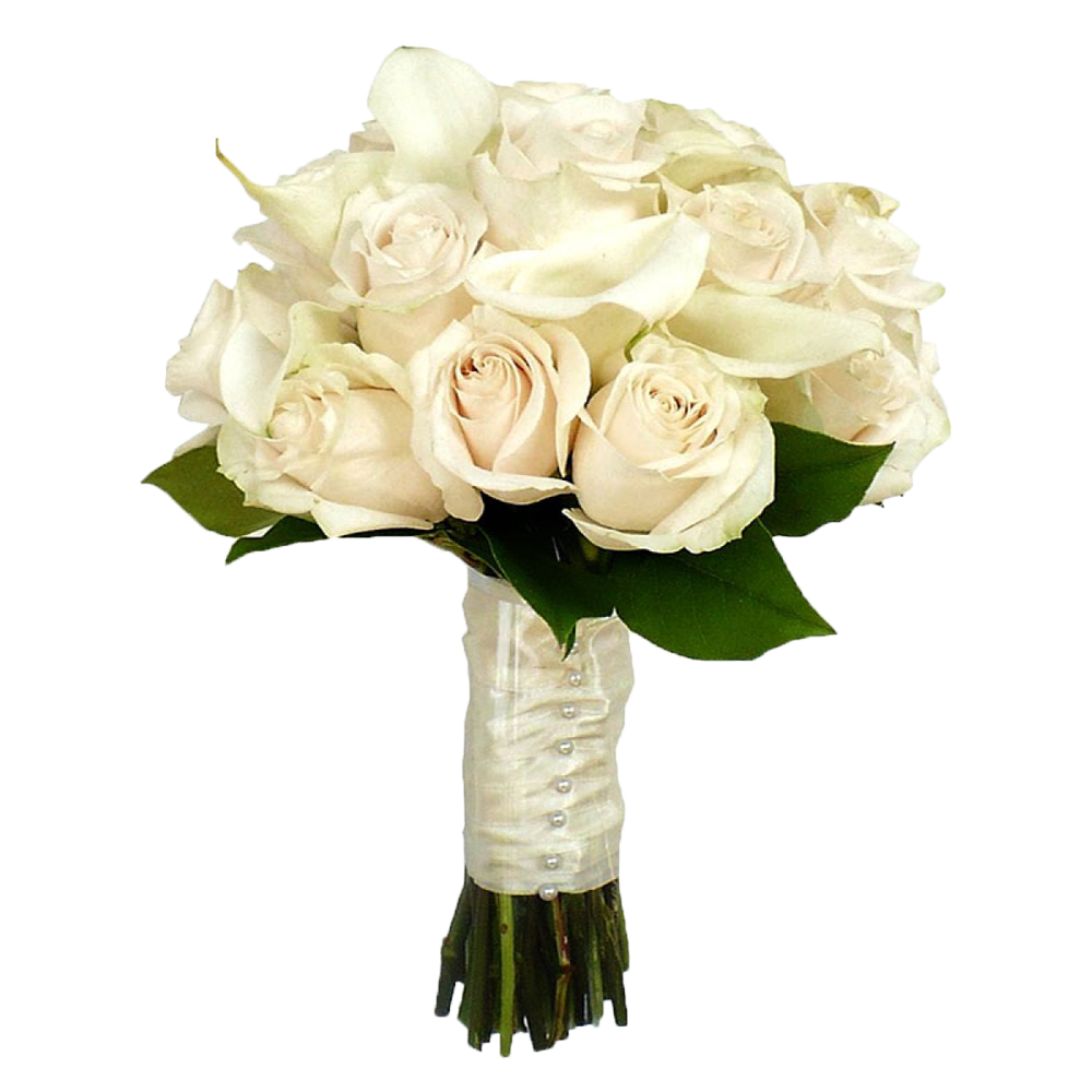 White Rose Bokeh PNG Transparent Image