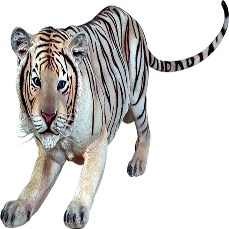 White Tiger Transparent Picture