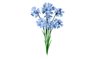 Wild Flower PNG