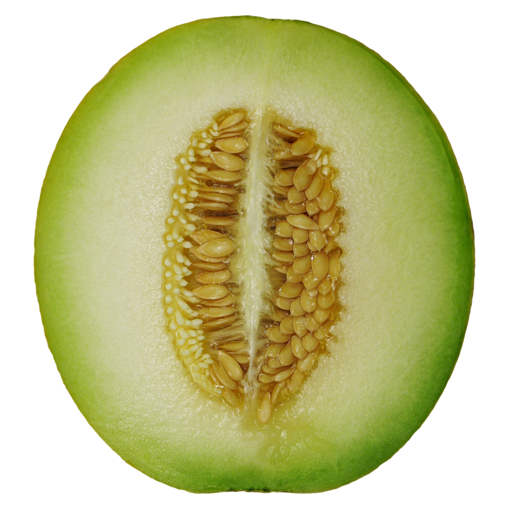 Winter Melon  Transparent Picture