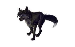 Wolf Cartoon PNG