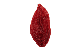 Wolfberry PNG